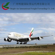 Cheap Air Freight Forwarder Shipping Agent Services From China to Worldwide (Monaco)